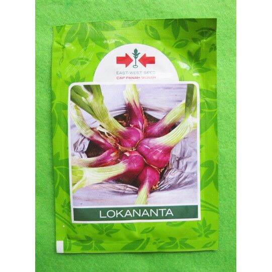 Benih Bibit Bawang Merah Lokananta 10 Gram Cap Panah Merah | Lazada ...