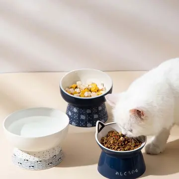 Elevated cat outlet feeder