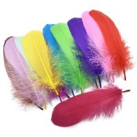 20Pcs/Lot Colored Feathers for Crafts Decoration Handicraft Accessories Catcher Geese Feather Plumes