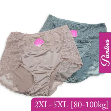 women's Panties large sizes with High Waist Sexy Lace Transparent