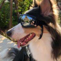 2022 New Adjustable Dog Sunglasses Anti-UV Lens Eye Waterproof Dog Goggles Supplies Windproof Protection K2R8