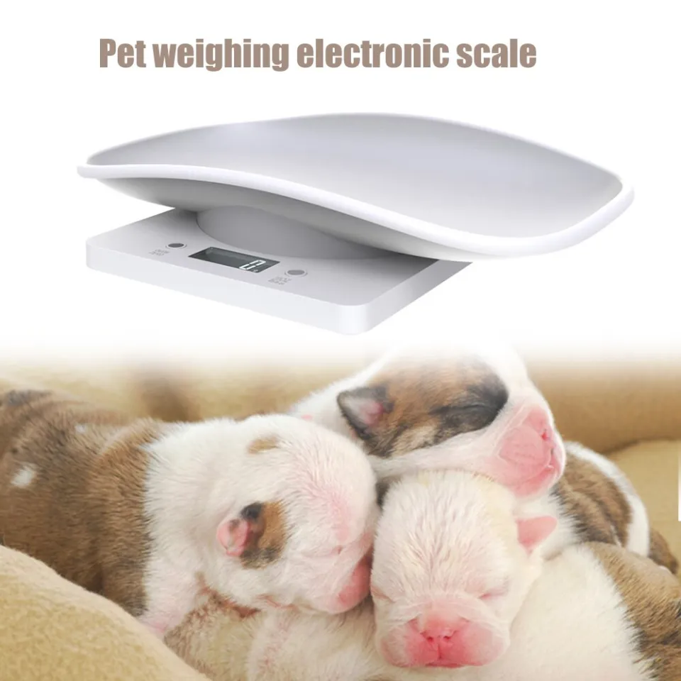 Pet Weight Scale 10kg/1g Digital Small Cats Dogs Measure Tool Electronic  Kitchen Scale for Toddler Small Puppy Cat Dog