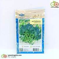 คะน้าฮ่องกง CHINESE KALE  เจียใต๋