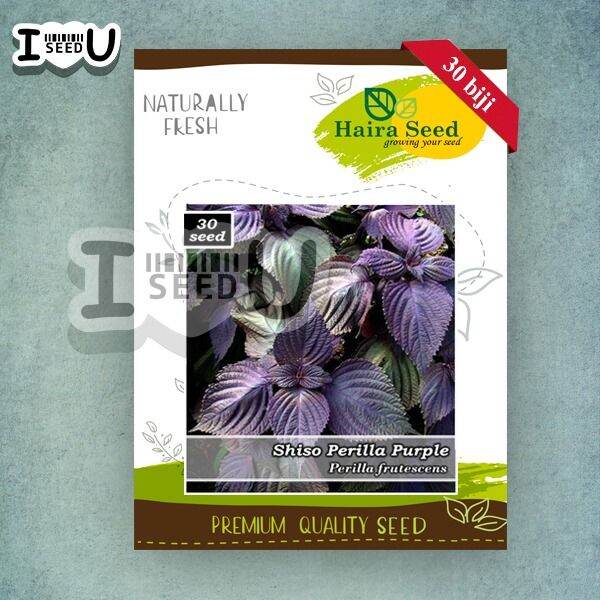 Haira Seed Bibit-Biji Shiso Perilla Purple-Merah | Lazada Indonesia