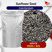 ทานตะวันลายนอก Strip SunFlower อาหารนก กระต่าย หนู กระต่าย กระรอก ชูก้า และสัตว์ฟันแทะ อาหารสำหรับสัตว์เลี้ยง (แบ่งขาย 500G / 1KG)