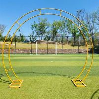 2.0X2.4M Metal Wedding Garden Arch Double Round Ring Balloon Flower Stand Birthday Graduation Event Party Props Background Frame