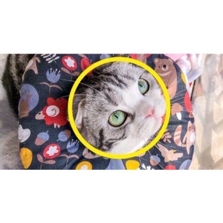 ปลอกคอกันเลียแบบนิ่ม-soft-collar-cone-for-cat-ปลอกคอกันเลีย-ปลอกคอแมว-ปลอกคอหมา-ปลอกคอกันเลียแมว-ปลอกคอกันเลียหมา