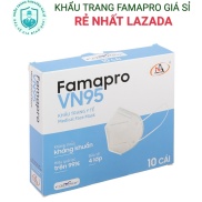 10 hộp Khẩu trang VN95 Famapro hộp 10 cái, Khẩu trang N95 Famapro