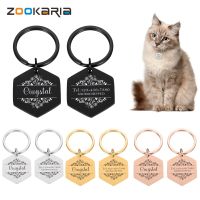 Anti lost Pet ID Tags Personalized ID Tag Pet Collar Accessories Dogs Name Tags Pendant Customized Free Engraved Puppy Collar