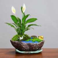 Desktop Flower Pot Landscaping Micro Landscape Bonsai Pot Creative Ceramic Painting Gold Black Pottery Pot Bamboo Planting Pot