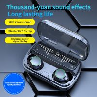 BQ10 Tws Earphone Bluetooth 5.3 Wireless Headphones Hifi Stereo Sports Waterproof Earbuds Headset Hearing Aids With Mic