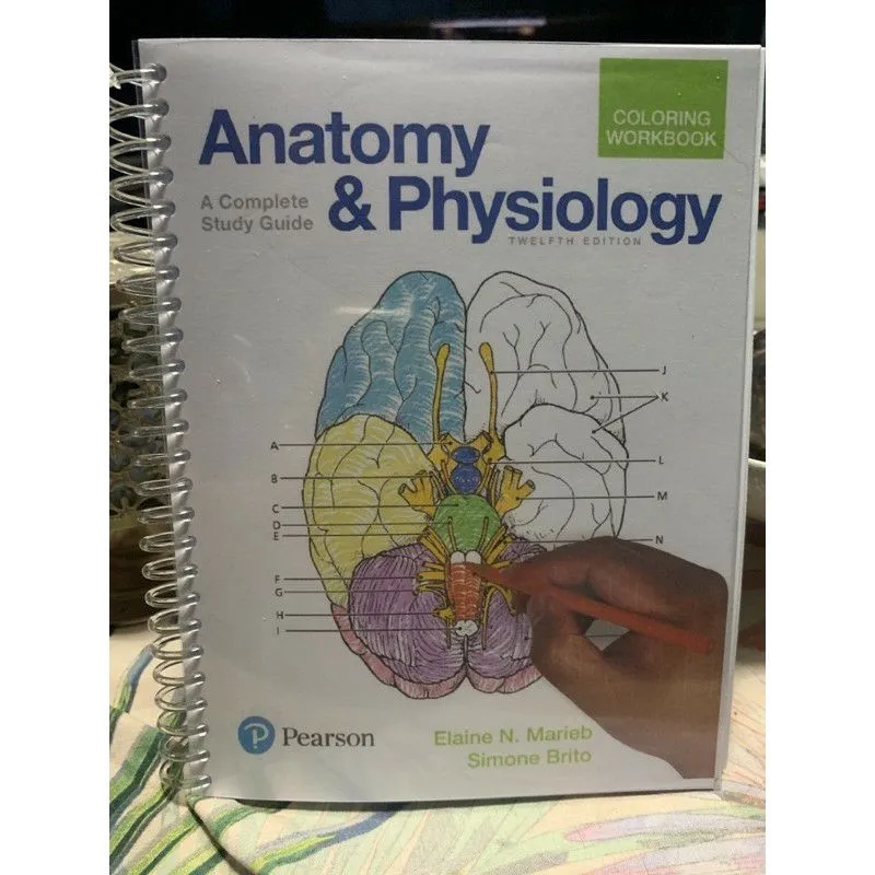 Workbook　Anatomy　PH　and　Physiology　Coloring　Lazada