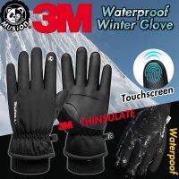 Thinsulate Keeping Warm Outdoor Windproof Sport Riding Hiking Motorcycle Gloves