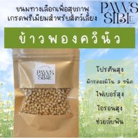 [Paws-sible] ขนมเพื่อสุขภาพสำหรับสัตว์ฟันแทะ ขนมข้าวพองควินัว ขนมแฮมเตอร์ ขนมแฮมสเตอร์ ขนมกระรอก ขนมหนูแฮมสเตอร์