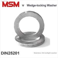 ❄✠✹ 10/20/50/100 Pairs Stainless Steel Loose-proof Wedge-lock Washer Dual Stack Self-locking Gasket Shock-proof NL3/4/5/6/8/10/12/14