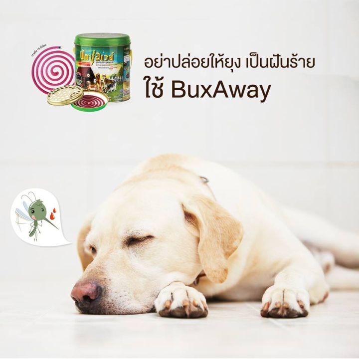 42pets-buxaway-ยาจุดกันยุงสัตว์เลี้ยง-ปลอดภัยสำหรับสัตว์เลี้ยงและคน-ยากันยุงสำหรับสุนัขและแมว-ที่สุนัขและแมว-ยากันยุง