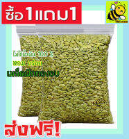 ส่งฟรี!! ซื้อ1 ฟรี1 ขนาด 500 กรัม เมล็ดฟักทอง พร้อมทาน เกรด AAA /Roated Pumpkin Seeds (500 กรัม ฟรี 100กรัม /100 กรัม ฟรี 100 กรัม) เม็ดฟักทอง ฟักทองอบ เมล็ดฟักทองอบ ถั่วธัญพืชรวม ขนมกินเล่นถูกๆ ขนมกินเล่น อาหารพร้อมทาน ธัญพืชรวม ธัญพืชอบแห้ง