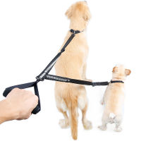 2 in 1 Pet Leash With Double Head Adjustable Length Dog Leashes Pet Outdoor Walking Double Traction Nylon Rope Dogs Supplies