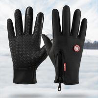 【CW】 Outdoor Warm Gloves Motorcycle Windproof for outdoor Cycling skiing Adults Thermal