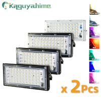 Kaguyahime 2Pcs LED Floodlight Remote 50W 100W Outdoor LED Flood Light 220V Reflector Light IP65 Waterproof Street Spotlight