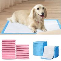 【CC】 Disposable Diaper convenient Dog Training Super Absorbent Supplies