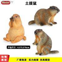 ? ของขวัญ เด็กจำลองสัตว์ป่ารุ่น groundhog หญ้า otter หมูหิมะความรู้ความเข้าใจของเล่นตกแต่งบ้านเค้ก