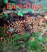 ชีพจรไพร : Spirit of Jungle