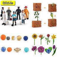 ZZOOI Simulation Cosmic Planet Model Animal Growth Cycle Flower Butterfly Frog Farm Life Cycle Action Figures Educational Kid Toy Gift