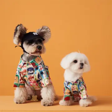 Korean dog hotsell clothes online