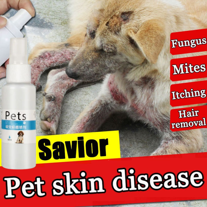 Pet Skin Care Spray Pet Dog Skin Treatment Pet Anti Fungal Spray Anti ...