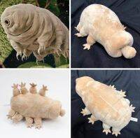 หมีน้ำ ตุ๊กตา ตุ๊กตาผ้าขน ตุ๊กตาหมีน้ำ tardigrade ตุ๊กตายัดนุ่นรูปสัตว์ ตุ๊กตาสัตว์ประหยัด หมอนตุ๊กตา หมอนหนุน ของขวัญ 23091