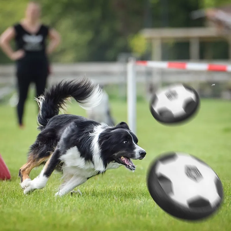 Interactive Dog Toys Electric Smart Toy Puppy Soccer Ball Self