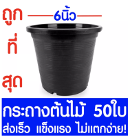 กระถางต้นไม้ กระถางพลาสติก ขนาด 6 นิ้ว 50ใบ กระถางกลม กระถางต้นไม้พลาสติก กระถางปลูกต้นไม้ กระถางดำ กระถางพลาสติกดำ Flower pot