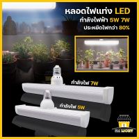 หลอดไฟแท่ง 5W 7W หลอดไฟ LED หลอดไฟปลูกต้นไม้ หลอดไฟอ่านหนังสือ แสงสีขาว ถนอมสายตา ไม่มีรังสีUV หลอดประหยัดไฟ ขั้วE27 วัสดุหลอด PC