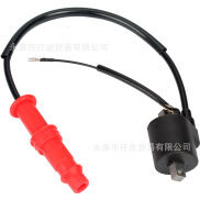 HOT Sao Bắc Cực Thích Hợp Polaris Sportsman 2004 ATV Cuộn Dây Đánh Lửa Gói