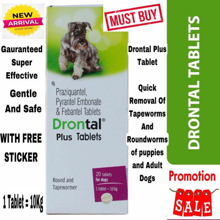 Elanco Drontal Plus Dewormer For Dogs 1 Tablet 10kg | Lazada PH