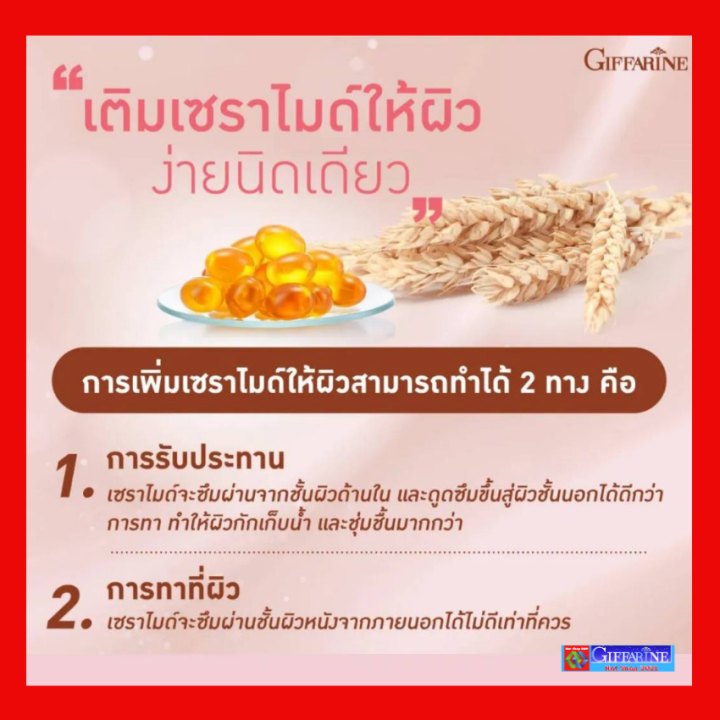 วีท-เซราไมด์-พลัส-กิฟฟารีน-ผลิตภัณฑ์เสริมอาหาร-น้ำมันจมูกข้าวสาลี-ผสมสารสกัดจากข้าวสาลี-น้ำมันมะกอก-และวิตามินอี-ชนิดแคปซูลนิ่ม