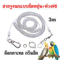 สายคล้องขานก ค๊อกคาเทล กรีนชีค สายคล้องนกแก้ว สายจูงนก ห่วงเปิดนก ห่วงขานก 6มม กันนกหนี อุปกรณ์เลี้ยงนก