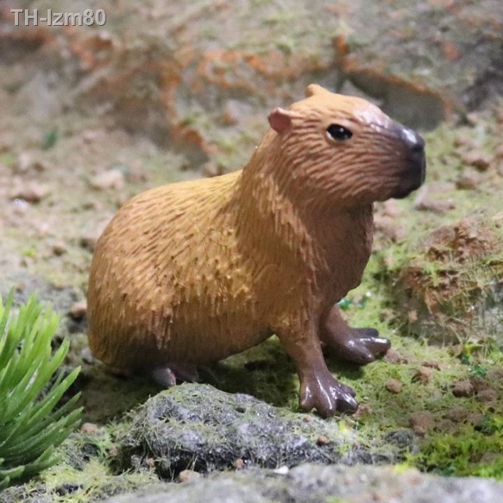 ของขวัญ-เด็กของเล่นจำลองสัตว์ป่ารุ่น-capybara-หนูปลาแมนดารินง้างปากปลาแมนดารินเครื่องประดับความรู้ความเข้าใจ