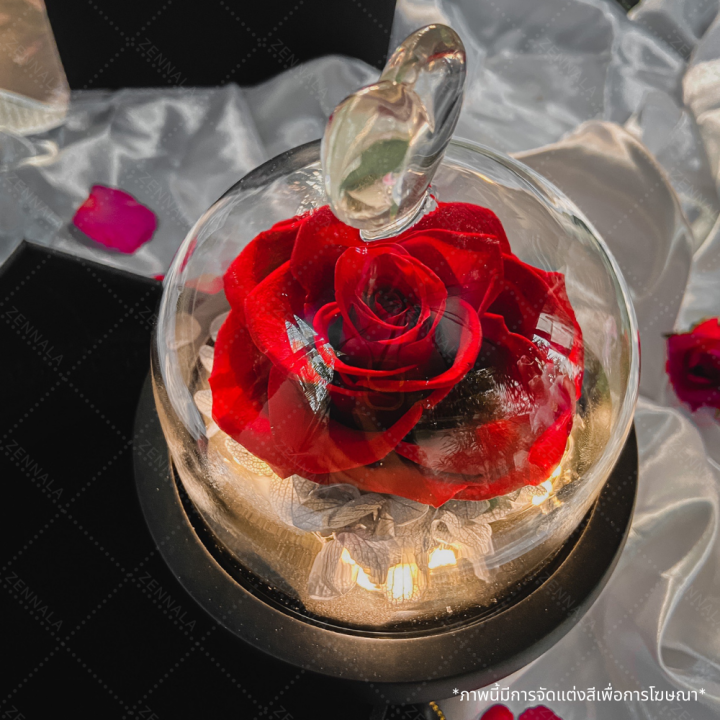 กุหลาบโหลแก้วหัวใจ-มีไฟในตัว-กุหลาบสดในโดมแก้ว-กุหลาบอมตะ-preserved-rose-ของขวัญวันครบรอบ-ของวัญวันวาเลนไทน์-ของวัญให้แฟน