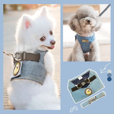 （PAPI PET）2021ใหม่เสื้อกั๊กสไตล์สุนัขคาวบอยจูงสัตว์เลี้ยงสายรัดหน้าอกสุนัขเดินเชือกอุปกรณ์สุนัข