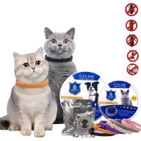 New 8 Month Destroy Flea &amp; Tick Prevention Collar For Dog Cats Removes Insect Pet Collar Perro Anti Mosquitoes Repellent Puppy