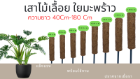 เสาไม้เลื้อย เสาใยมะพร้าว เสาหลักปักต้น เสายึดต้นไม้ ท่อ PVC สีดำ ขนาด1/2นิ้ว (4หุน)