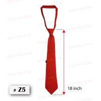 School Colored Zip Necktie