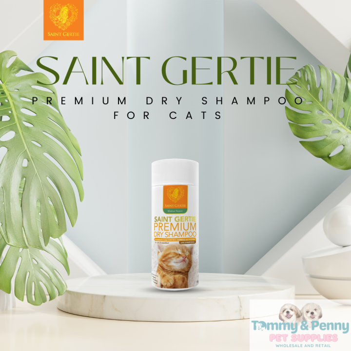 Saint Gertie Dry Shampoo 128g Lazada PH