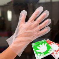 ▽ 100Pcs/Pack Food Plastic Gloves Disposable Gloves for Restaurant Kitchen BBQ Eco-friendly Food Gloves Fruit Vegetable Gloves