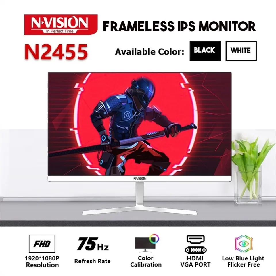 n2455 nvision