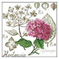 Cross Stitch Kits Stamped for Adults Beginner Kids, Flower Leaves Flowers Silhouette 11CT DIY Embroidery Needlework Kit