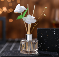 Fragrance Scent Generous Containers Glass Bottle Bottles Reed Diffuser