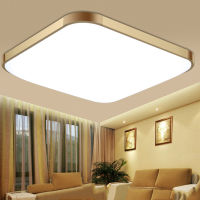 Nordic LED Ceiling Light Acrylic Aluminum Living Room 220V Modern Simple Aisle Rectangular Study Bedroom Lndustrial Lamp Fixture